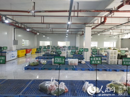 紅花崗區農產品產銷對接智慧服務中心首日運營成效顯著，發貨量達40余噸